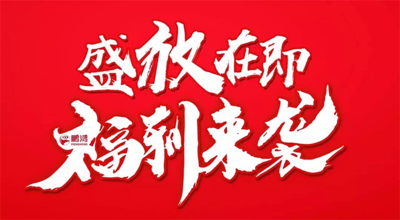 再拓疆域！乐天堂fun88We+定制&红星美凯龙联袂亮相乌鲁木齐