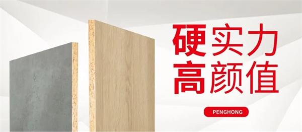 解锁乐天堂fun88实木颗粒板独当一“面”的底气