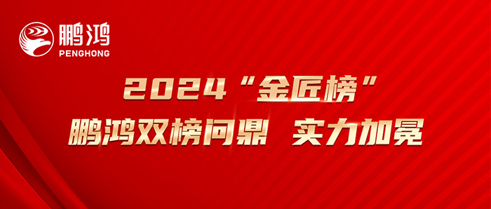 2024“生态板十大品牌” “匠心板材十大品牌”乐天堂fun88双榜问鼎