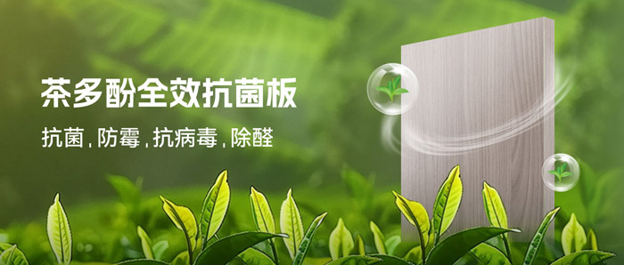 潮湿季必备！乐天堂fun88茶多酚抗菌板：99%抗菌+0级防霉+HENF级净醛
